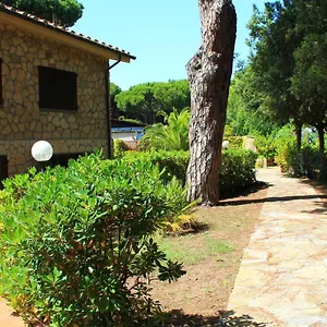  Villa Torre Saline Sotto Pineta Sul Mare Della Giannella